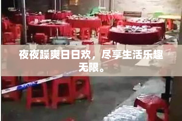 夜夜躁爽日日欢，尽享生活乐趣无限。