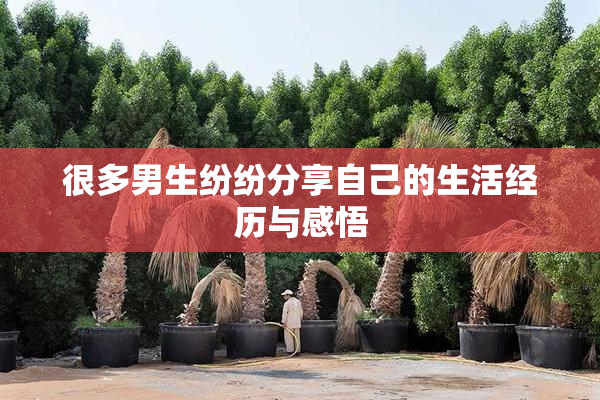 很多男生纷纷分享自己的生活经历与感悟