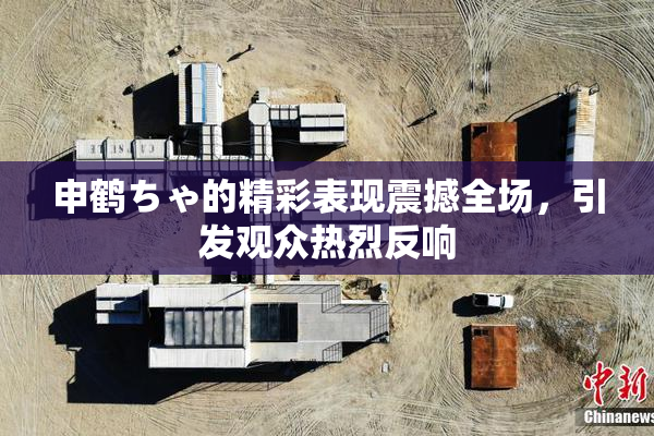 申鹤ちゃ的精彩表现震撼全场，引发观众热烈反响