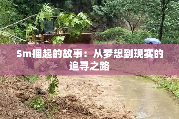 Sm捆起的故事：从梦想到现实的追寻之路