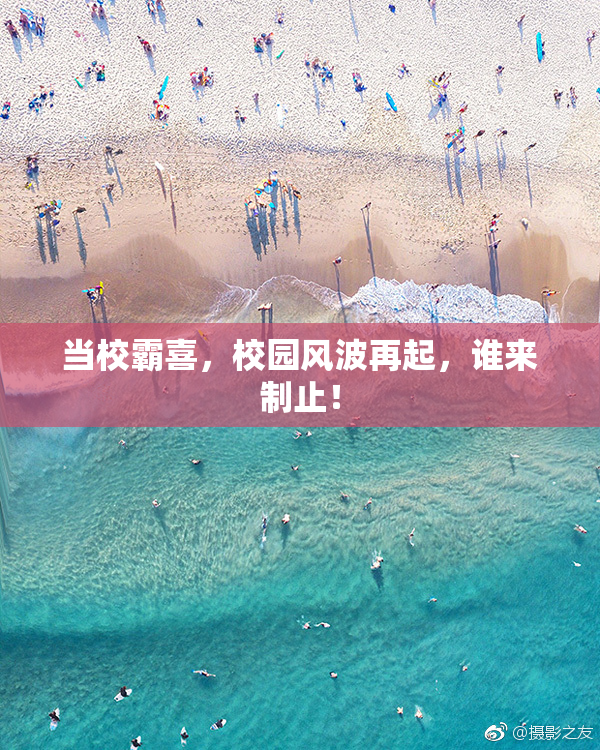 当校霸喜，校园风波再起，谁来制止！