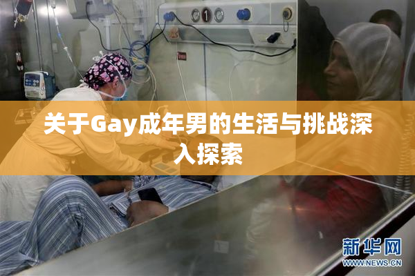 关于Gay成年男的生活与挑战深入探索