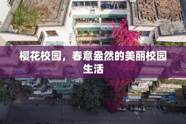 樱花校园，春意盎然的美丽校园生活
