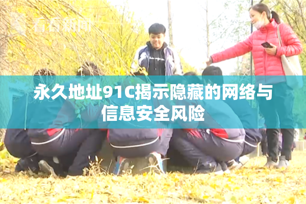 永久地址91C揭示隐藏的网络与信息安全风险