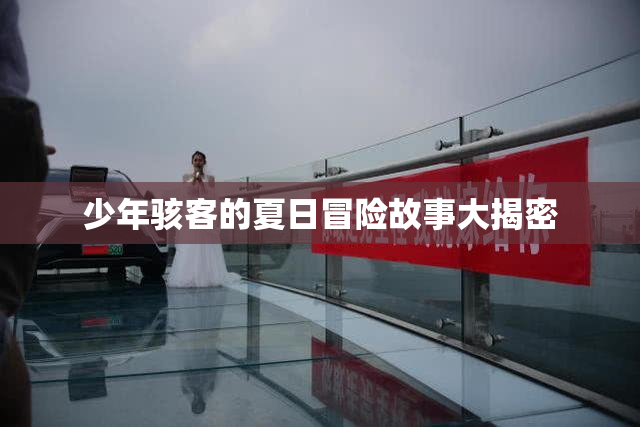少年骇客的夏日冒险故事大揭密