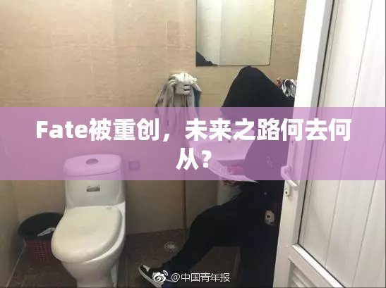 Fate被重创，未来之路何去何从？