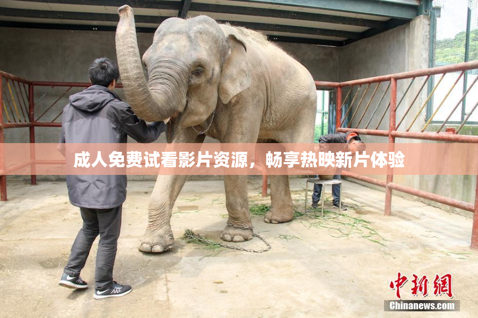 成人免费试看影片资源，畅享热映新片体验