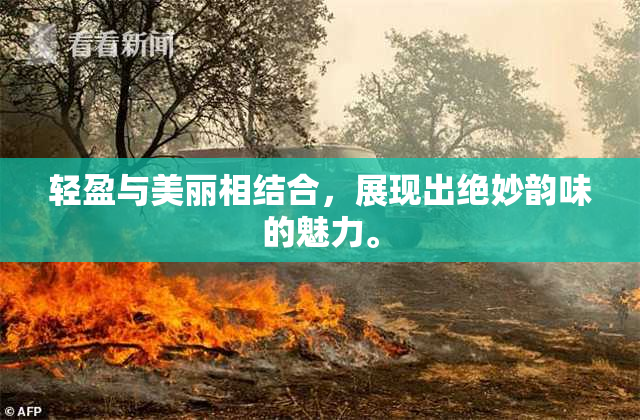 轻盈与美丽相结合，展现出绝妙韵味的魅力。