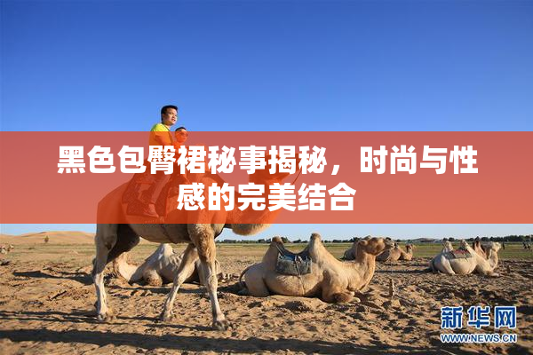 黑色包臀裙秘事揭秘，时尚与性感的完美结合