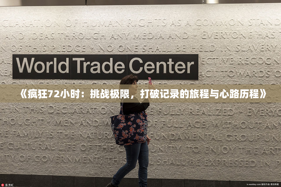 《疯狂72小时：挑战极限，打破记录的旅程与心路历程》