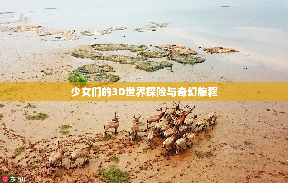 少女们的3D世界探险与奇幻旅程