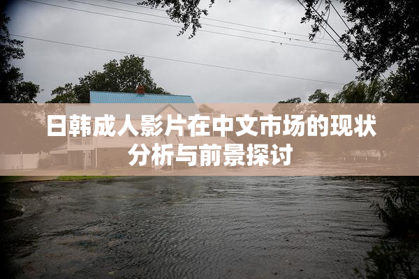 日韩成人影片在中文市场的现状分析与前景探讨