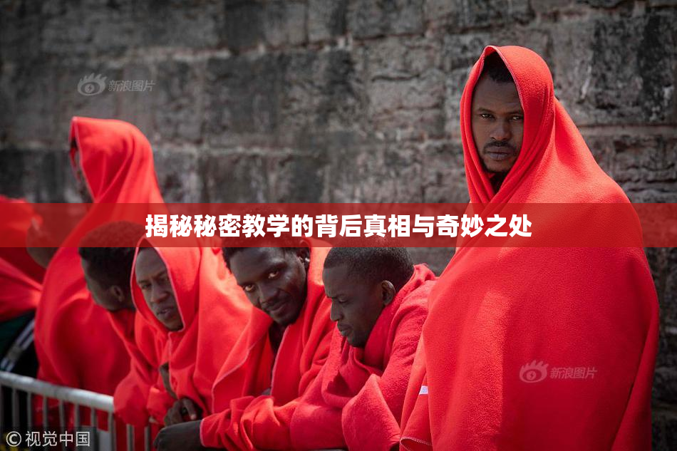 揭秘秘密教学的背后真相与奇妙之处