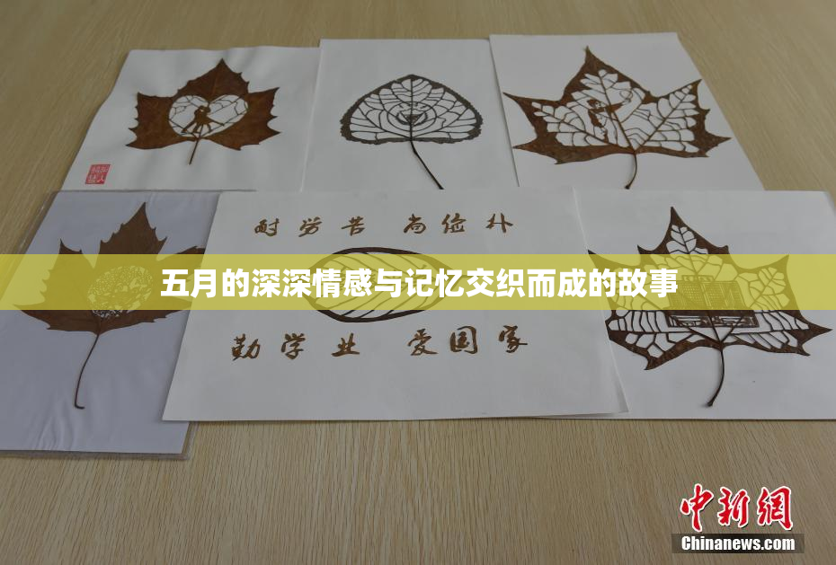 五月的深深情感与记忆交织而成的故事