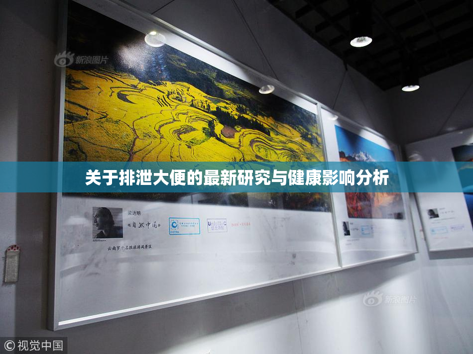 关于排泄大便的最新研究与健康影响分析