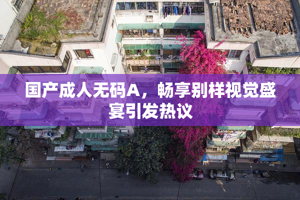 国产成人无码A，畅享别样视觉盛宴引发热议