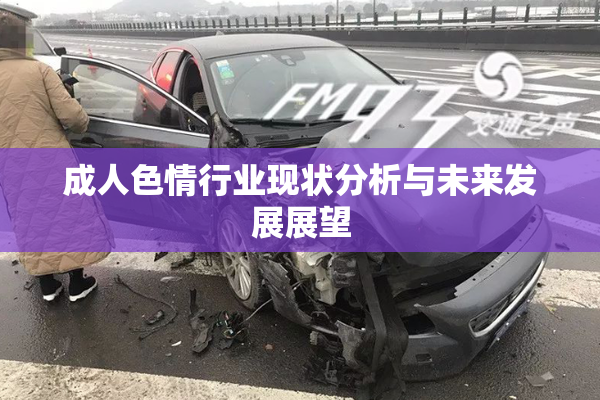 成人色情行业现状分析与未来发展展望