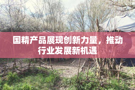 国精产品展现创新力量，推动行业发展新机遇
