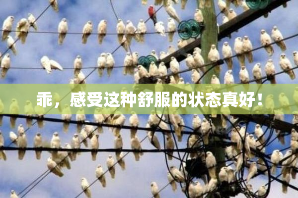 乖，感受这种舒服的状态真好！