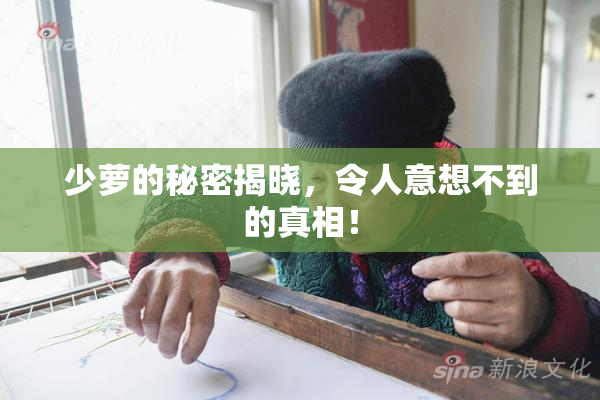 少萝的秘密揭晓，令人意想不到的真相！