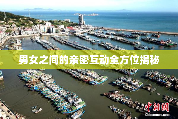 男女之间的亲密互动全方位揭秘