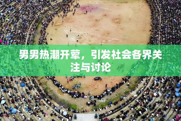 男男热潮开荤，引发社会各界关注与讨论