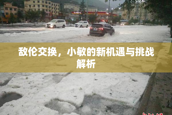 敌伦交换，小敏的新机遇与挑战解析