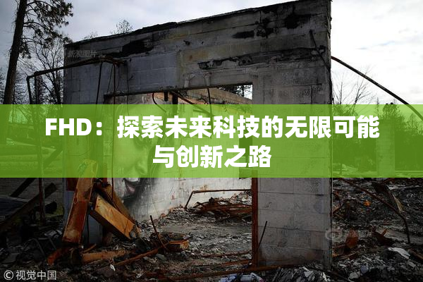 FHD：探索未来科技的无限可能与创新之路