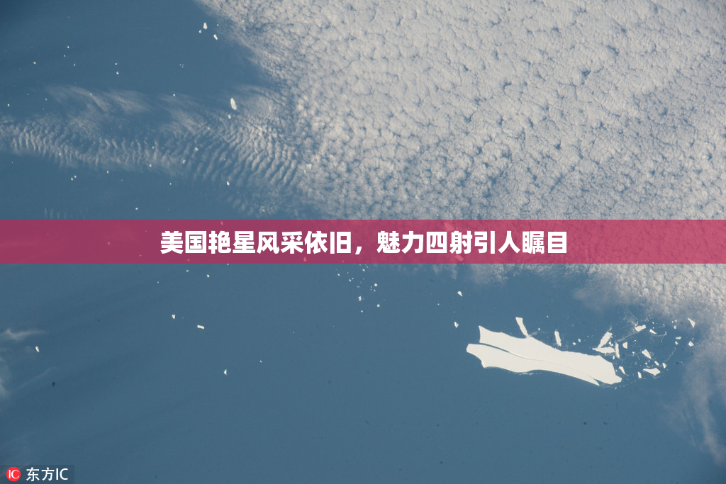 美国艳星风采依旧，魅力四射引人瞩目