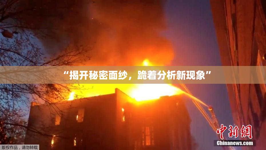 “揭开秘密面纱，跪着分析新现象”