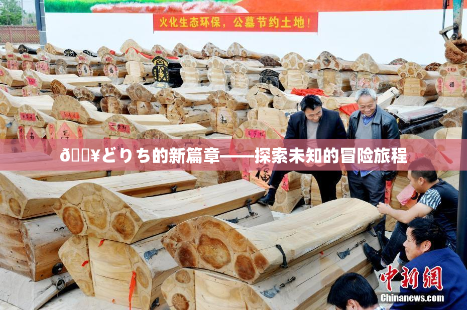🔥どりち的新篇章——探索未知的冒险旅程