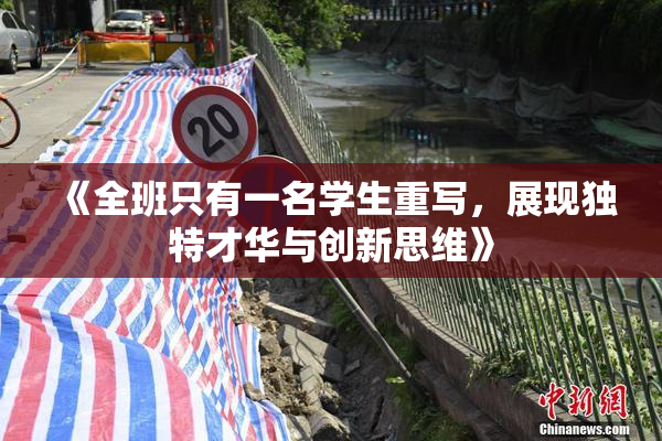 《全班只有一名学生重写，展现独特才华与创新思维》