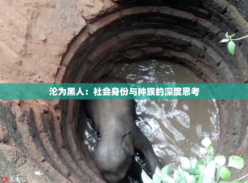 沦为黑人：社会身份与种族的深度思考