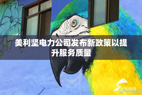 美利坚电力公司发布新政策以提升服务质量