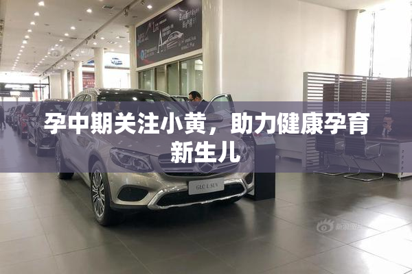 孕中期关注小黄，助力健康孕育新生儿
