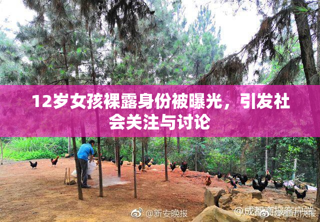 12岁女孩裸露身份被曝光，引发社会关注与讨论