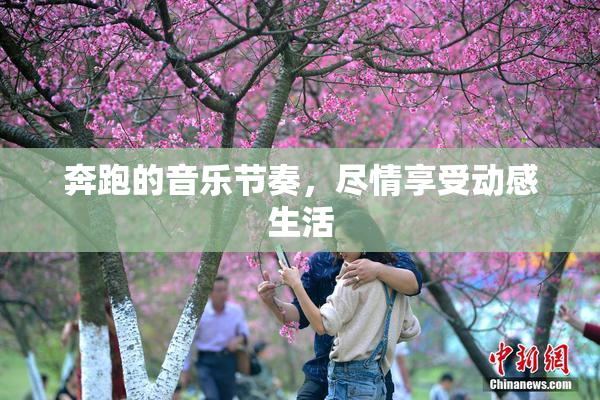 奔跑的音乐节奏，尽情享受动感生活