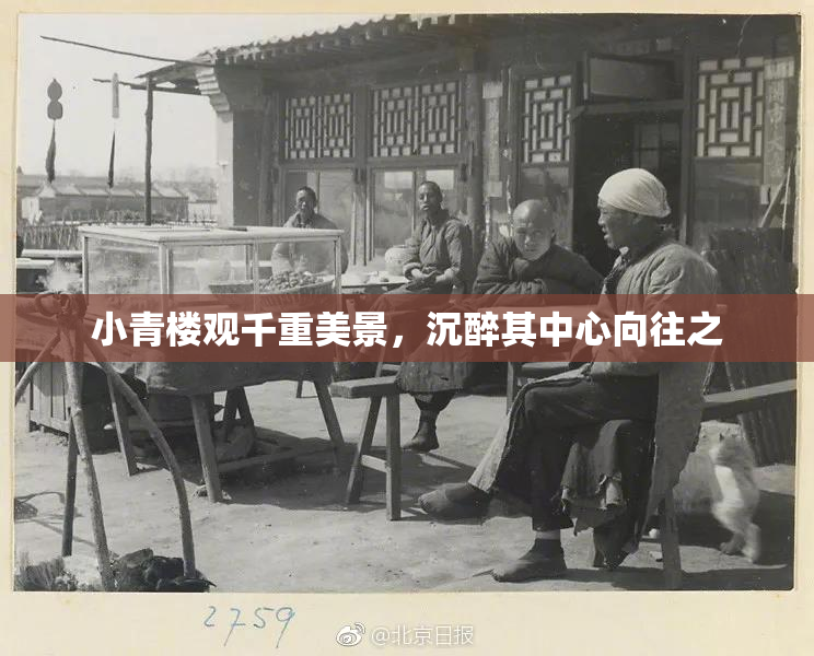 小青楼观千重美景，沉醉其中心向往之