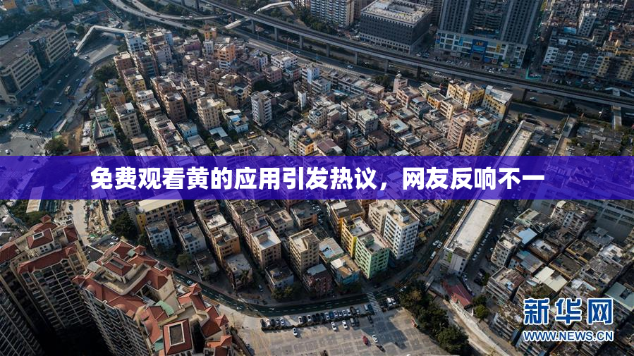 免费观看黄的应用引发热议，网友反响不一