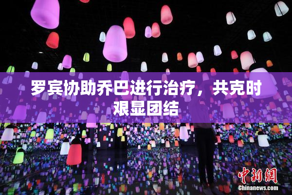 罗宾协助乔巴进行治疗，共克时艰显团结
