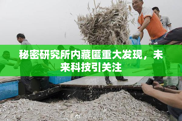 秘密研究所内藏匿重大发现，未来科技引关注