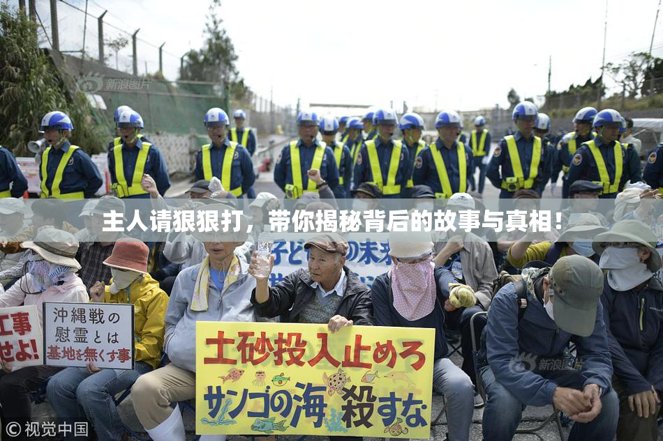 主人请狠狠打，带你揭秘背后的故事与真相！