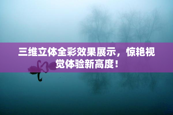 三维立体全彩效果展示，惊艳视觉体验新高度！