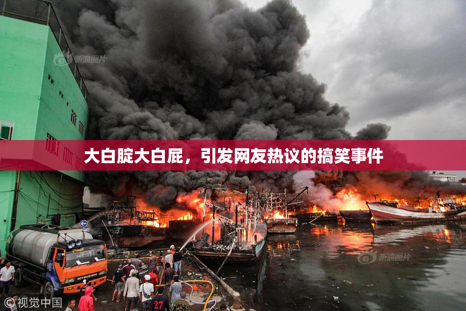 大白腚大白屁，引发网友热议的搞笑事件