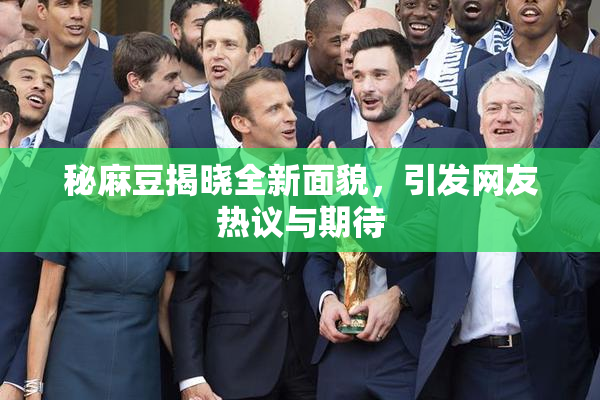 秘麻豆揭晓全新面貌，引发网友热议与期待