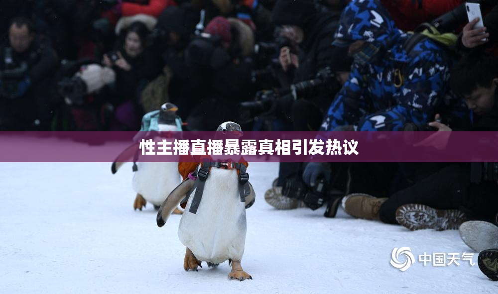 性主播直播暴露真相引发热议