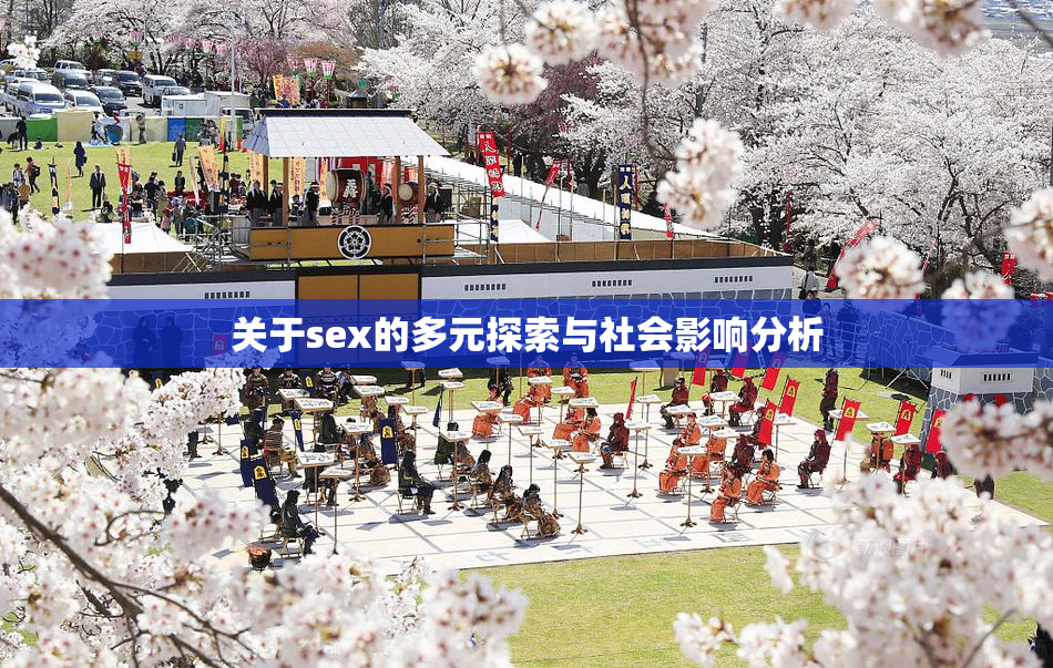 关于sex的多元探索与社会影响分析