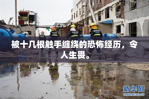 被十几根触手缠绕的恐怖经历，令人生畏。