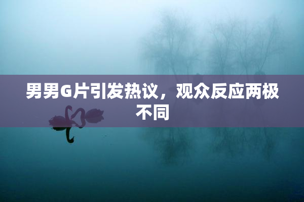 男男G片引发热议，观众反应两极不同
