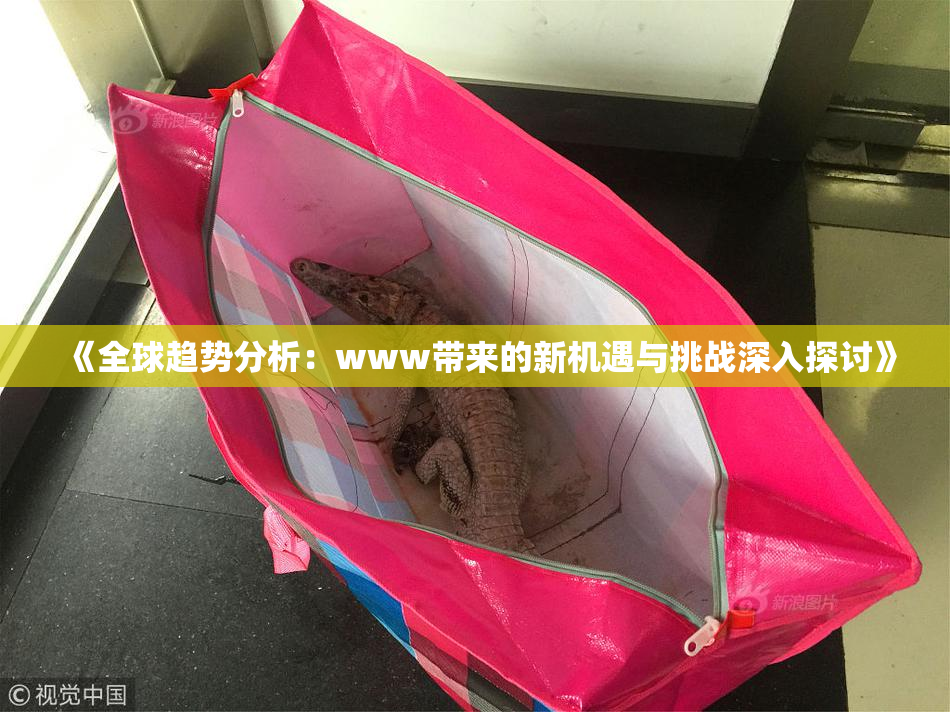 《全球趋势分析：www带来的新机遇与挑战深入探讨》